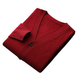 Howard Men's Knit Vest