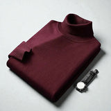 Allan Men's Turtleneck Sweater