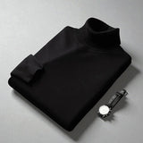 Allan Men's Turtleneck Sweater